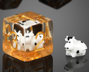 Moo Dice