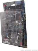 D&D Icons of the Realms: Kalaman Military Warband 