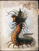 Call of Cthulhu - S. Petersens Field Guide to Lovecraftian Horrors - EN