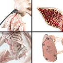 Stranger Things – Demogorgon LED Lampe