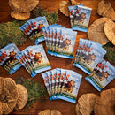 MTG - Bloomburrow Play Booster Display (36 Packs) - EN 