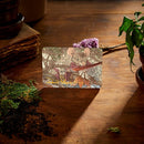 MTG - Bloomburrow Play Booster Display (36 Packs) - EN 