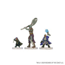 D&D Icons of the Realms: Player's Handbook Starter Sets
