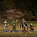D&D Icons of the Realms: Adventures in Faerûn