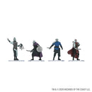 D&D Icons of the Realms: Adventures in Faerûn