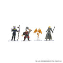 D&D Icons of the Realms: Adventures in Faerûn