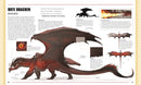 Dungeons & Dragons - Das Buch der Drachen