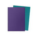 Dual Matte Sleeves 100 - Standard Size 