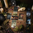 Crooked Moon RPG - Tarot Deck & Bag