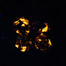 Premium Spindown D20