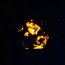 Premium Spindown D20