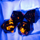Premium Spindown D20