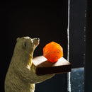 Agate strawberry milkshake