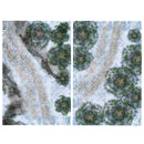 The Frozen North - Card Pack 