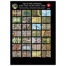A Giant Book of Battle Mats - Dragon Lairs & Dungeons