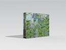 Encounters at a Glance: Into the Wild - Scratch & Fold Book 