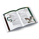 Pathfinder 2 - Core Rules - Monsters (EN) 