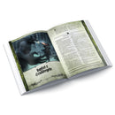 HeXXen 1733: Buch der Regeln 2 - Ausbauregeln und Bestiarium