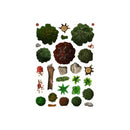 RPG Map Expansions - Landscape Elements 