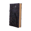 Raven's Grimoire - Notizbuch