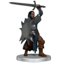 D&D Icons of the Realms – Dragon Army Warband 