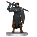 D&D Icons of the Realms – Dragon Army Warband 