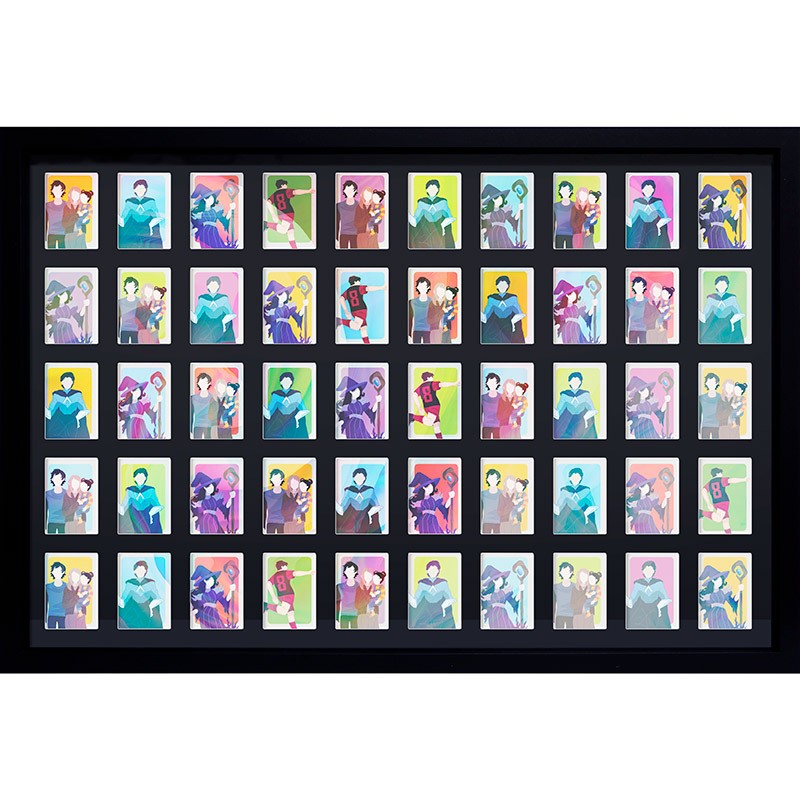 Trading Card Collector Frames (16 und 50 Karten)