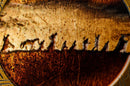 The Lord of the Rings – The Fellowship Sammelmünze