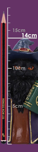 Magnus, the Cat Magician 