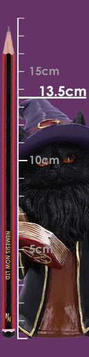 Albus, the Cat Magician 