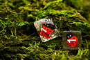 Ladybug-Edition - WorldOfDice