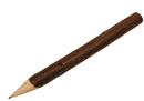Branch pencils