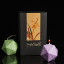 D20 candle (2 pieces)
