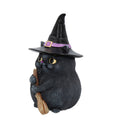 Lucky Black Cat
