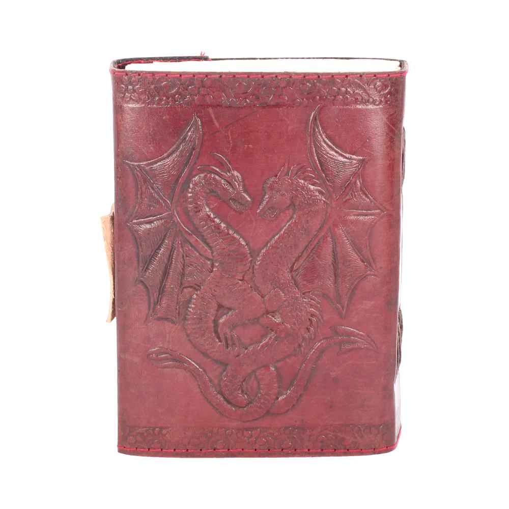 Dragon notebook